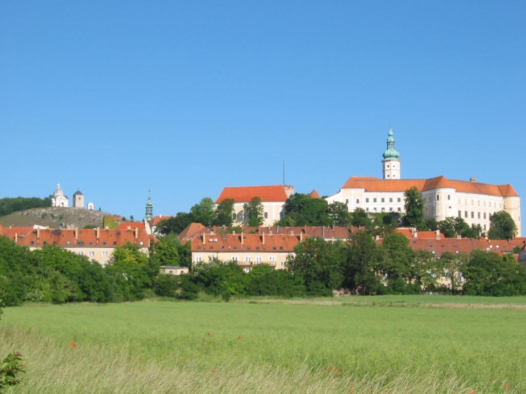 Ubytovani U Jerabku - Parkovani Zdarma Mikulov Rom bilde